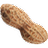 PeanutBase