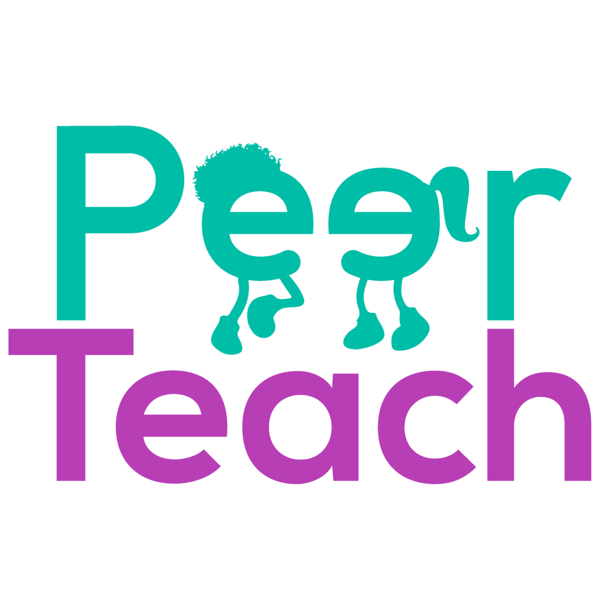 PeerTeach