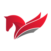 Pegaso Informatica