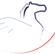Pegasus Datensysteme