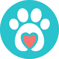 Pet Techo