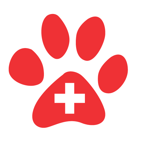 Pet Alert France