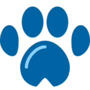 Pet Groomer Payments