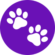Petshot Pro