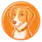 Pet to Cartoon