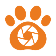 Pet Vista