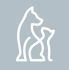 PetVoice