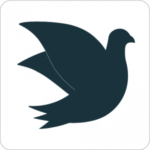 Pigeon-Tech