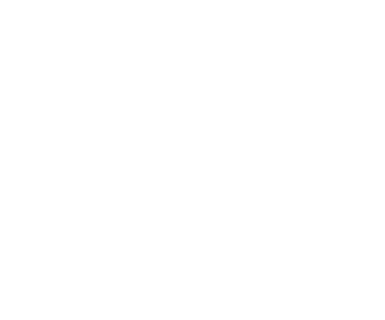 ViDove