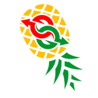 Pineapple Lifestyle