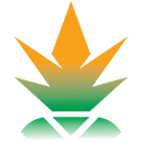 Pineapple POS