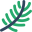 Pinetek Networks