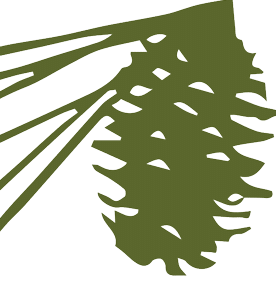 City of Pineville Events