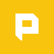 Pinger.Pro