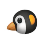 PingPuffin