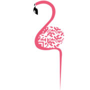 Pink Flamingo