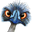 Pithitude