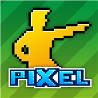 Pixel Manager