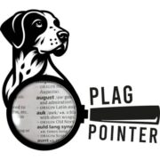 PlagPointer
