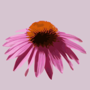 Plant Palette Builder