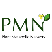 Plant Metabolic Network
