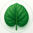 PlantFocus
