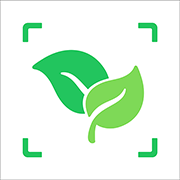 PlantFun