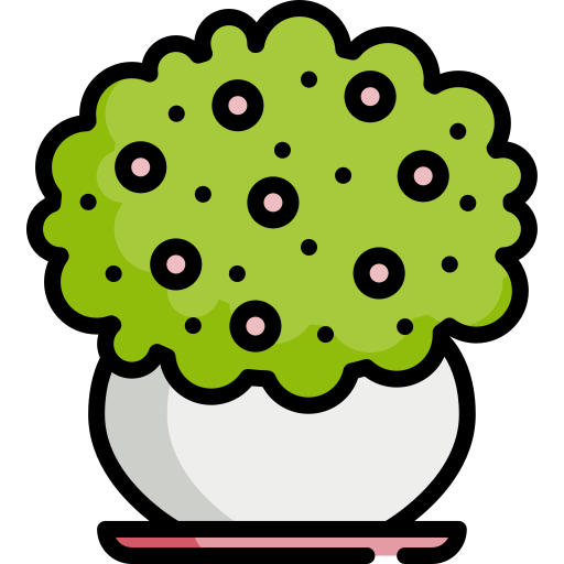 Plant Identifier Free