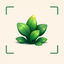Plant Identifier