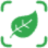 Plantium