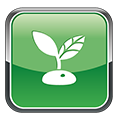 Plantivo