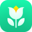 Plant Parent