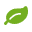 Platonech INC
