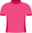Ploegleider