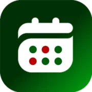 P&L Ledger