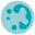 Pocket Pathologist