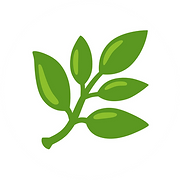 Polyglot Asian Medicines