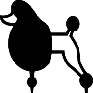 POODLE Scan
