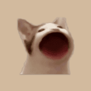 Popcat