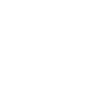Portal Bridge