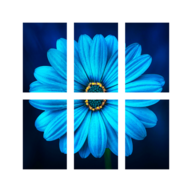 Poster Printing App
