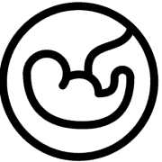 Postpartum Trainer