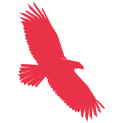 Powerbird