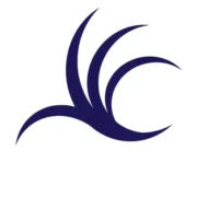 Practical Health Systems