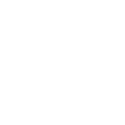 Prevent Audit