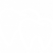 Private Dentistry