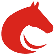 Profiler Racing Software