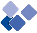 Prognosys Solutions