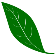 O’green Brasil
