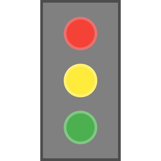 The Project Status
